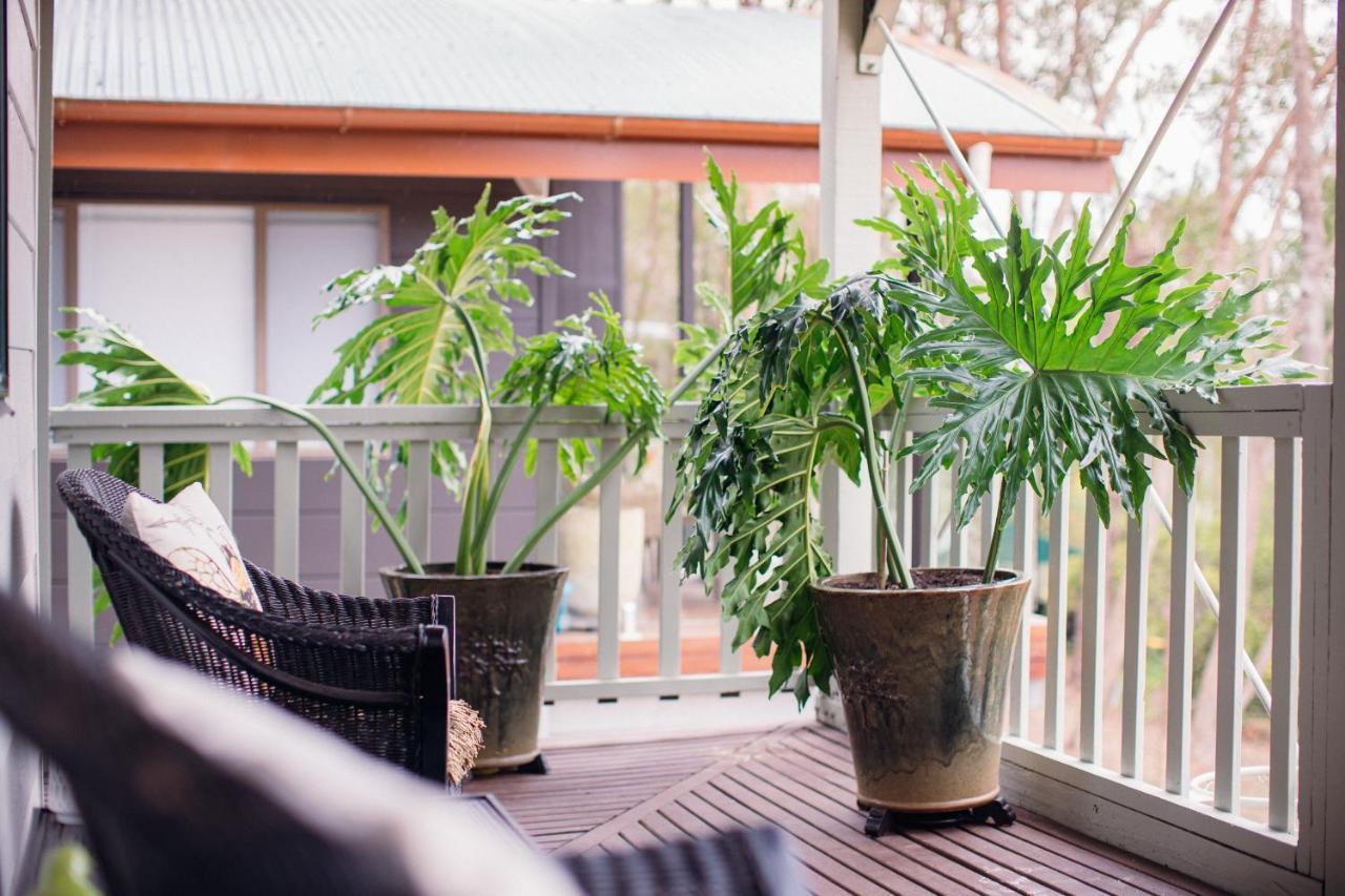 Hazelbrook Snooty Fox Bed &Breakfast Bed & Breakfast エクステリア 写真